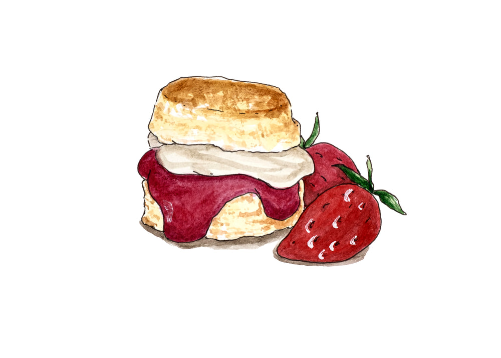 drawing of scone