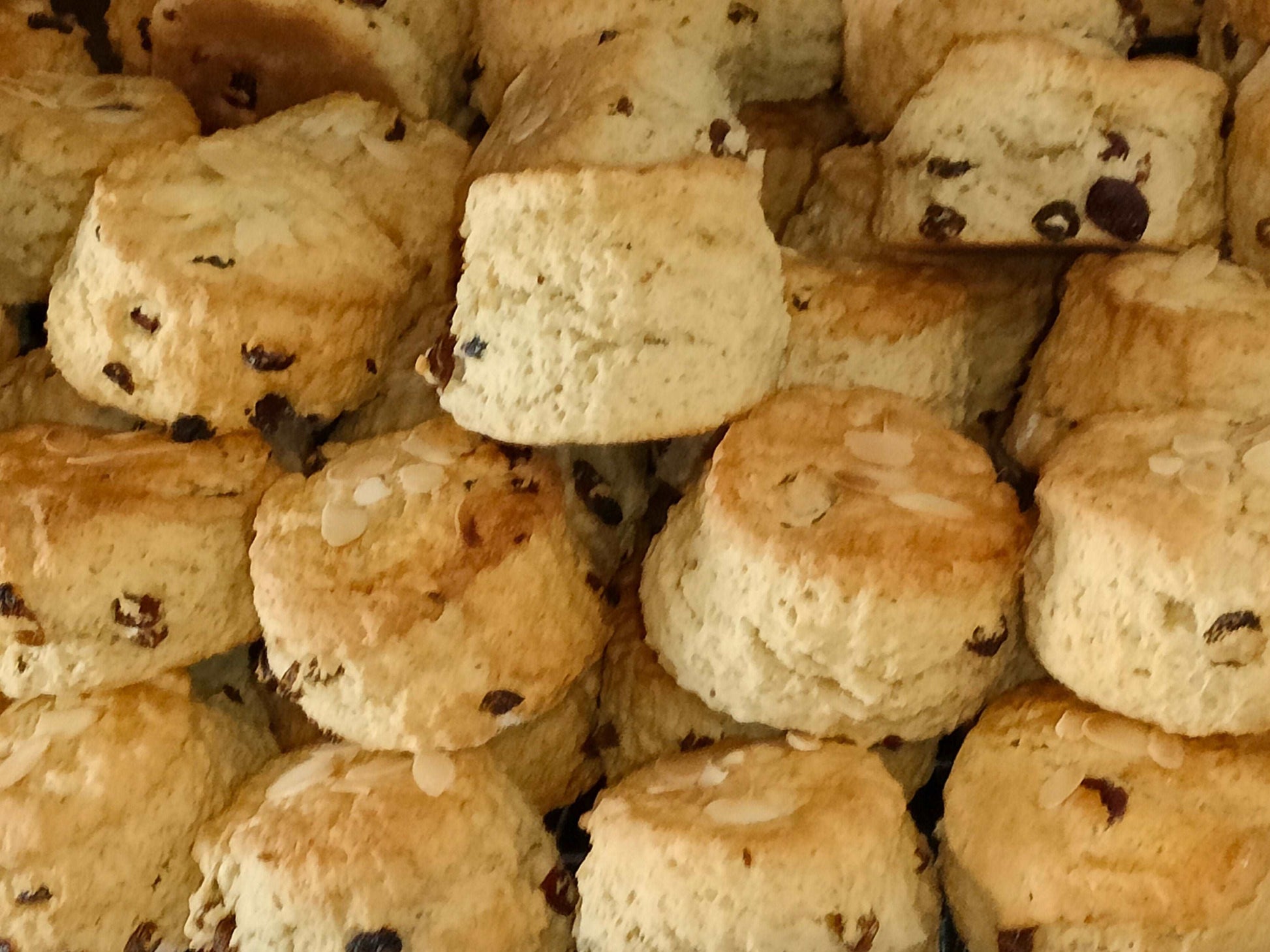 Christmas scones